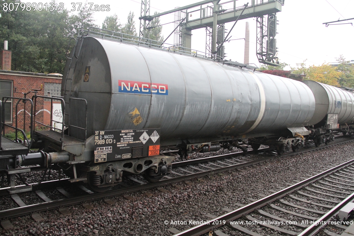 807989013-3_37_Zaes.JPG